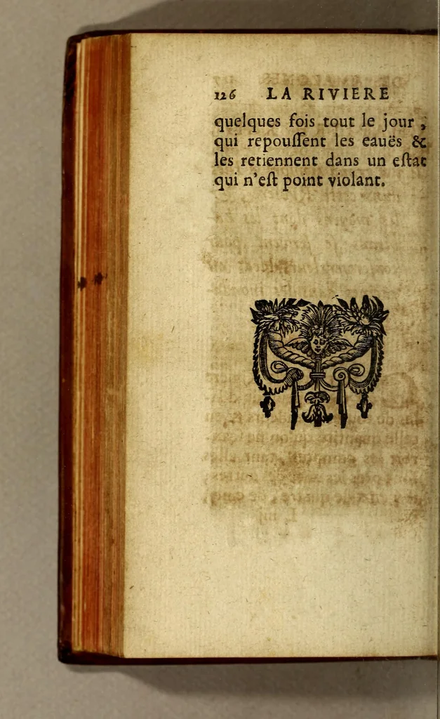 An illustration from Relation de la riviere des Amazones, 1682, leaf 324