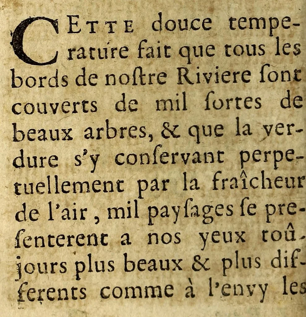 An illustration from Relation de la riviere des Amazones, 1682, leaf 368