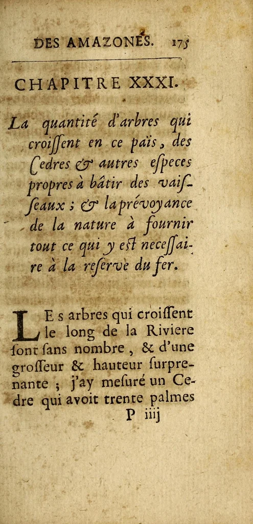 An illustration from Relation de la riviere des Amazones, 1682, leaf 373