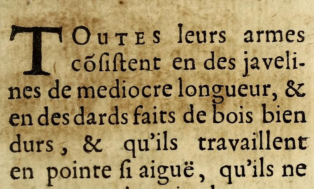 An illustration from Relation de la riviere des Amazones, 1682, leaf 401