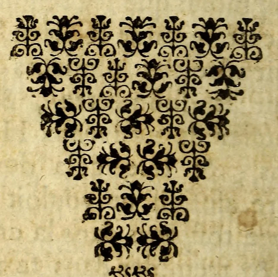 An illustration from Relation de la riviere des Amazones, 1682, leaf 428