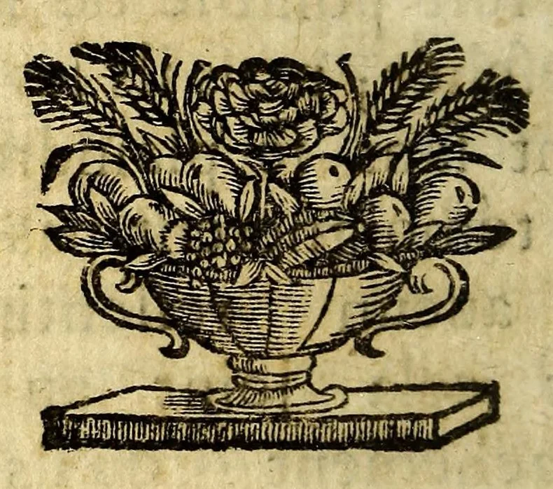 An illustration from Relation de la riviere des Amazones, 1682, leaf 436