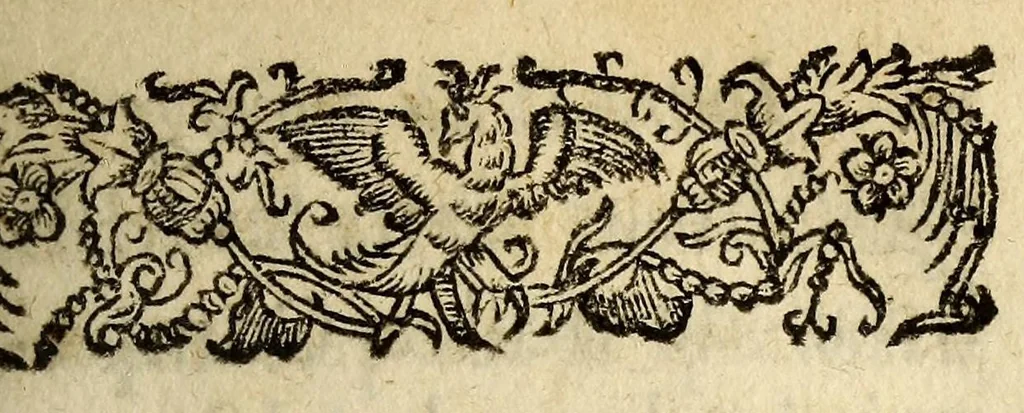 An illustration from Relation de la riviere des Amazones, 1682, leaf 19