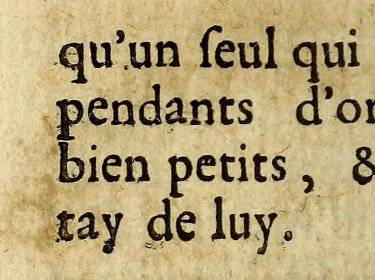 An illustration from Relation de la riviere des Amazones, 1682, leaf 292