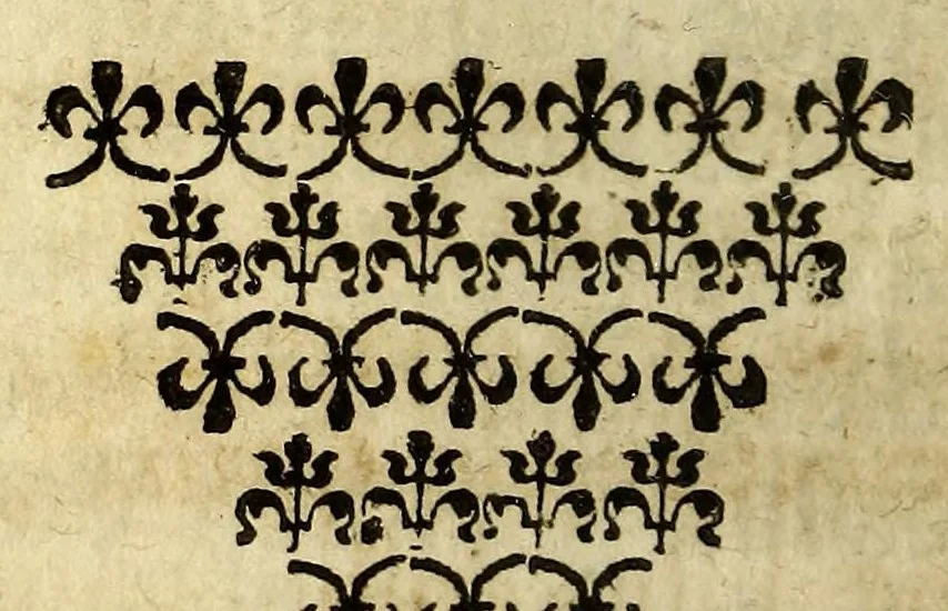 An illustration from Relation de la riviere des Amazones, 1682, leaf 304