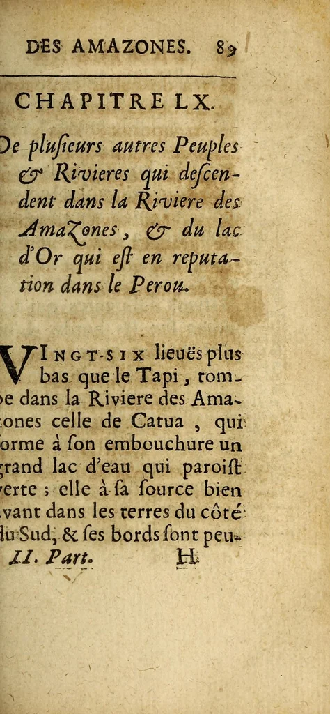 An illustration from Relation de la riviere des Amazones, 1682, leaf 305