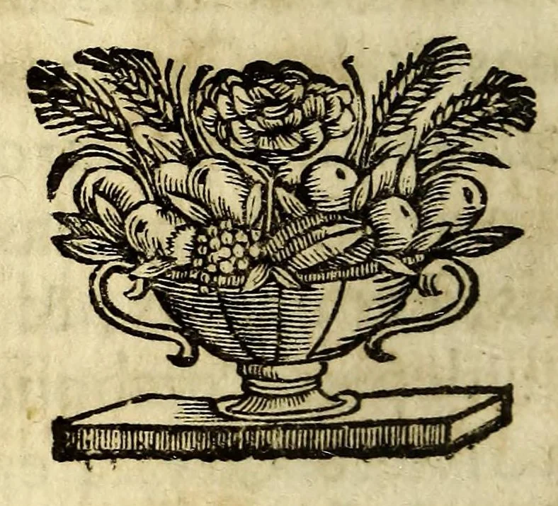 An illustration from Relation de la riviere des Amazones, 1682, leaf 352