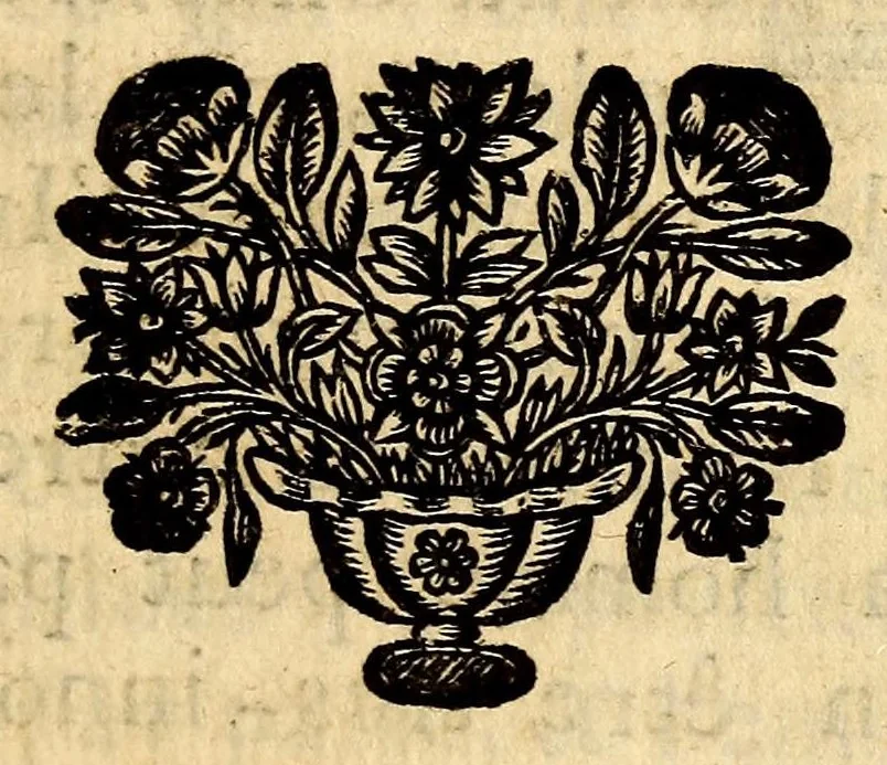 An illustration from Relation de l'inquisition de Goa, 1688, leaf 201