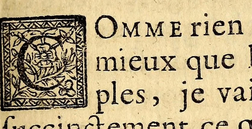 An illustration from Relation de l'inquisition de Goa, 1688, leaf 355