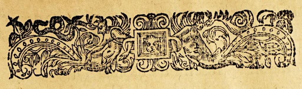 An illustration from Relation des missions des PP. de la Compagnie de Iesus dans les isles, & dans la terre ferme de l'Amerique Meridionale. : Diuisée en deux partie : auec vne Introduction à la langue des Galibis sauuages de la terre ferme de l'Amerique., 1655, leaf 23