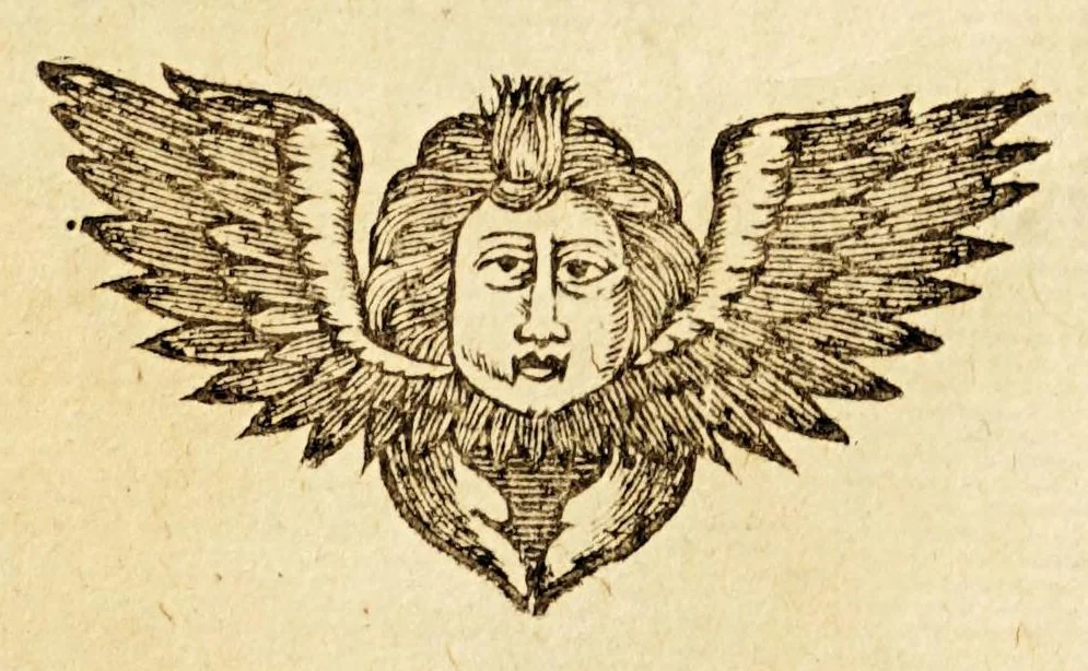 An illustration from Relation des missions des PP. de la Compagnie de Iesus dans les isles, & dans la terre ferme de l'Amerique Meridionale. : Diuisée en deux partie : auec vne Introduction à la langue des Galibis sauuages de la terre ferme de l'Amerique., 1655, leaf 243