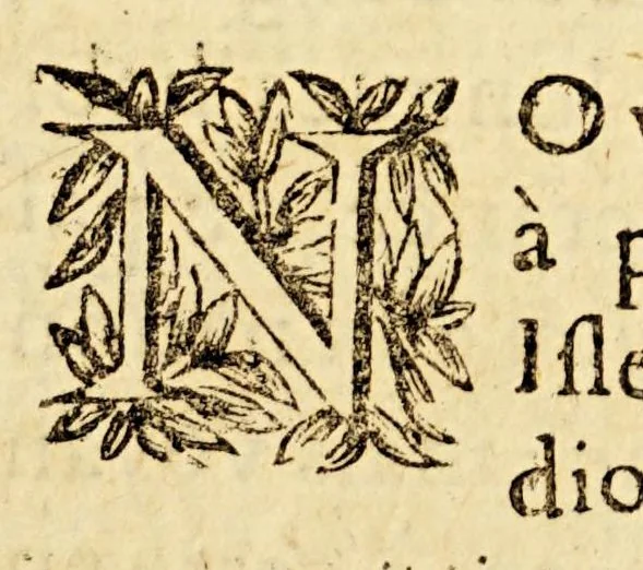 An illustration from Relation des missions des PP. de la Compagnie de Iesus dans les isles, & dans la terre ferme de l'Amerique Meridionale. : Diuisée en deux partie : auec vne Introduction à la langue des Galibis sauuages de la terre ferme de l'Amerique., 1655, leaf 119