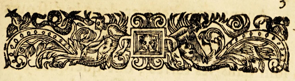 An illustration from Relation des missions des PP. de la Compagnie de Iesus dans les isles, & dans la terre ferme de l'Amerique Meridionale. : Diuisée en deux partie : auec vne Introduction à la langue des Galibis sauuages de la terre ferme de l'Amerique., 1655, leaf 247