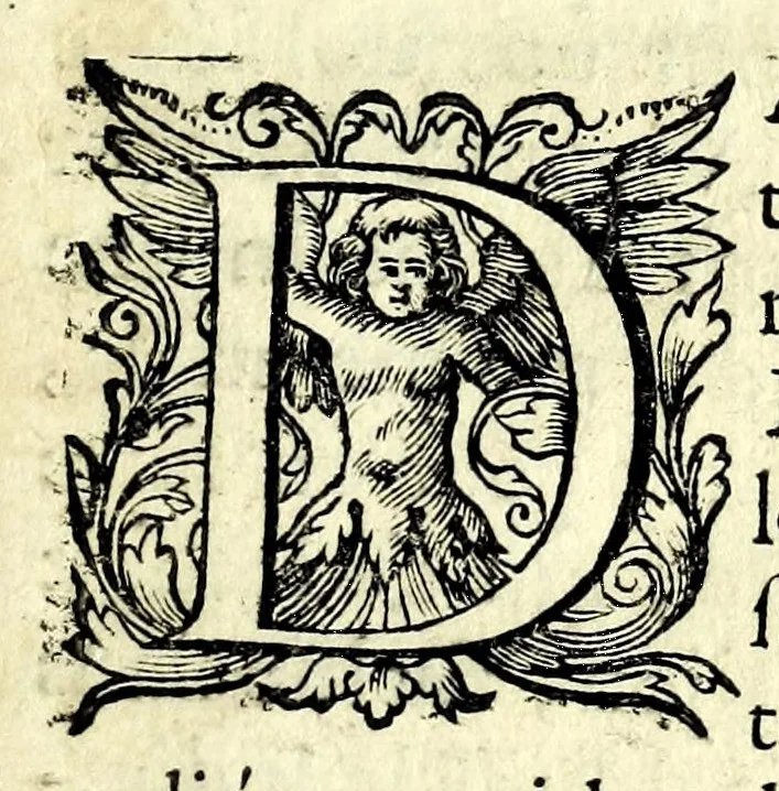 An illustration from Relation des rejouissances faites a Dijon pour la naissance de Monseigneur le duc de Bourgogne, 1682, leaf 9