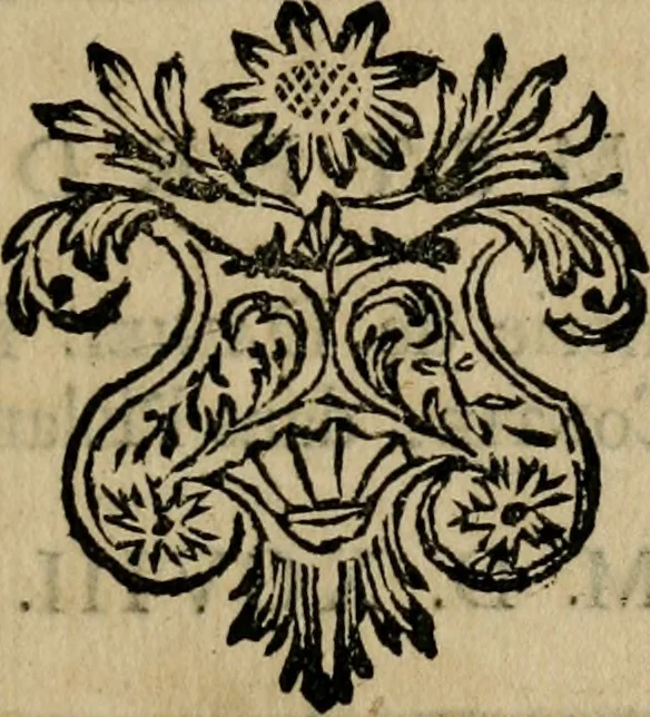An illustration from Relation des Voyages et des Découvertes que les Espagnols ont fait dans les Indes Occidentales;, 1698, leaf 374
