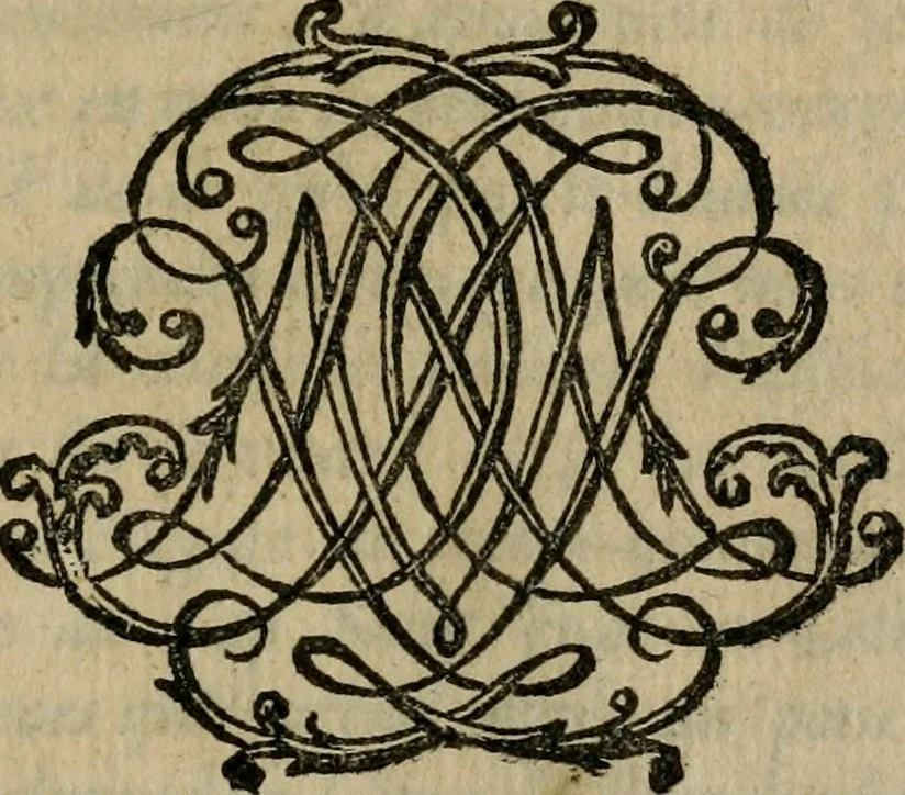 An illustration from Relation des Voyages et des Découvertes que les Espagnols ont fait dans les Indes Occidentales;, 1698, leaf 378