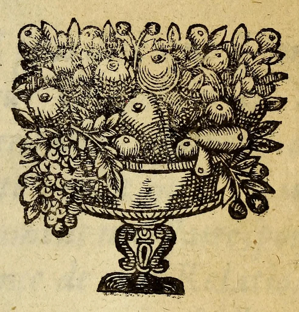 An illustration from Relation du Groenland, 1663, leaf 11