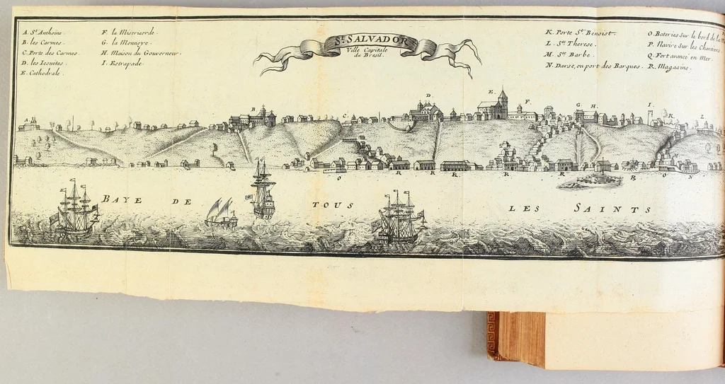 An illustration from Relation d'un voyage fait en 1695. 1696. & 1697. aux côtes d'Afrique, détroit de Magellan, Brezil, Cayenne & isles Antilles, par une escadre des vaisseaux du roy, commandée par M. de Gennes., 1698, leaf 202