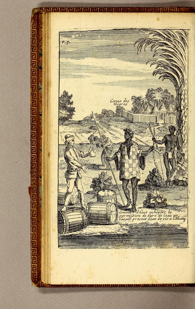 An illustration from Relation d'un voyage fait en 1695. 1696. & 1697. aux côtes d'Afrique, détroit de Magellan, Brezil, Cayenne & isles Antilles, par une escadre des vaisseaux du roy, commandée par M. de Gennes., 1698, leaf 28