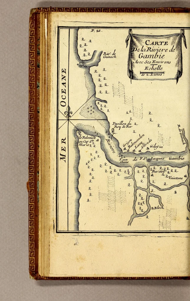 An illustration from Relation d'un voyage fait en 1695. 1696. & 1697. aux côtes d'Afrique, détroit de Magellan, Brezil, Cayenne & isles Antilles, par une escadre des vaisseaux du roy, commandée par M. de Gennes., 1698, leaf 48
