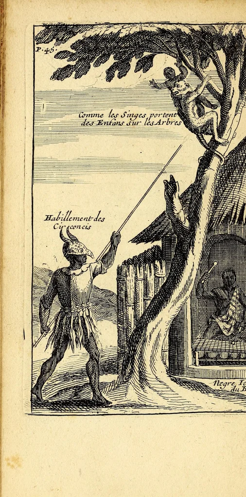 An illustration from Relation d'un voyage fait en 1695. 1696. & 1697. aux côtes d'Afrique, détroit de Magellan, Brezil, Cayenne & isles Antilles, par une escadre des vaisseaux du roy, commandée par M. de Gennes., 1698, leaf 78