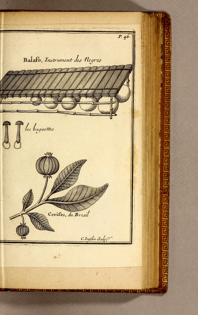 An illustration from Relation d'un voyage fait en 1695. 1696. & 1697. aux côtes d'Afrique, détroit de Magellan, Brezil, Cayenne & isles Antilles, par une escadre des vaisseaux du roy, commandée par M. de Gennes., 1698, leaf 81