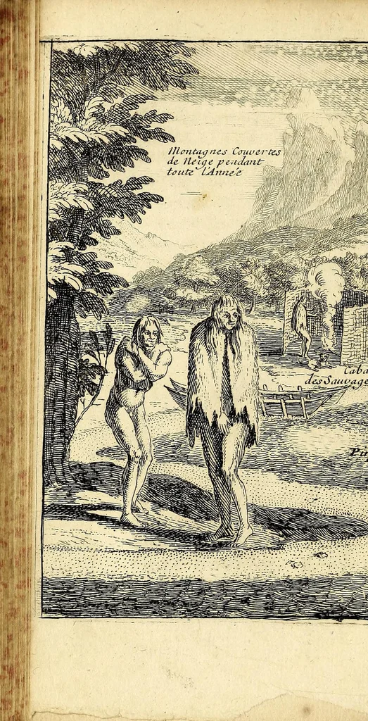 An illustration from Relation d'un voyage fait en 1695. 1696. & 1697. aux côtes d'Afrique, détroit de Magellan, Brezil, Cayenne & isles Antilles, par une escadre des vaisseaux du roy, commandée par Monsieur de Gennes., 1700, leaf 148