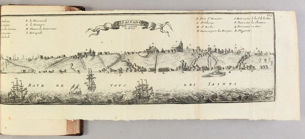An illustration from Relation d'un voyage fait en 1695. 1696. & 1697. aux côtes d'Afrique, détroit de Magellan, Brezil, Cayenne & isles Antilles, par une escadre des vaisseaux du roy, commandée par Monsieur de Gennes., 1700, leaf 201