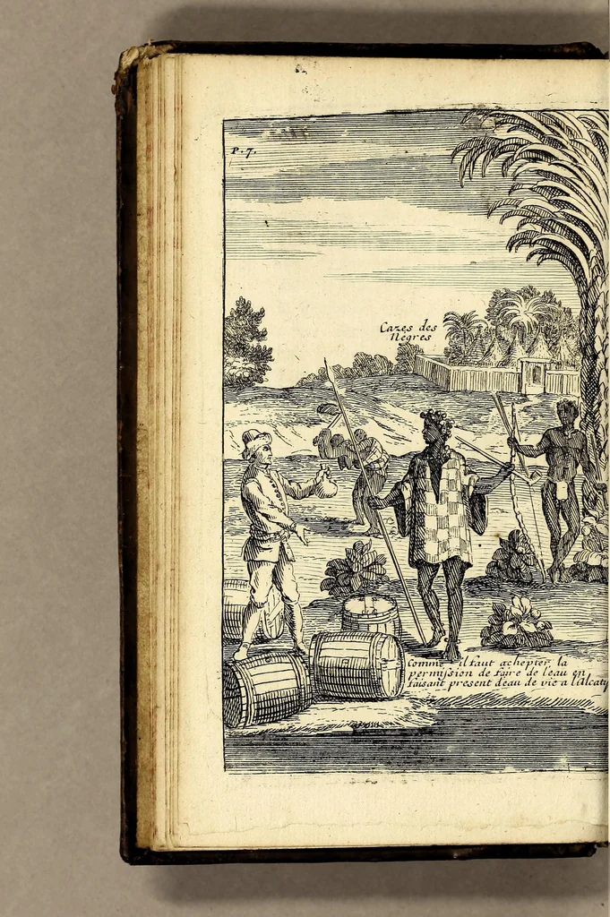 An illustration from Relation d'un voyage fait en 1695. 1696. & 1697. aux côtes d'Afrique, détroit de Magellan, Brezil, Cayenne & isles Antilles, par une escadre des vaisseaux du roy, commandée par Monsieur de Gennes., 1700, leaf 26