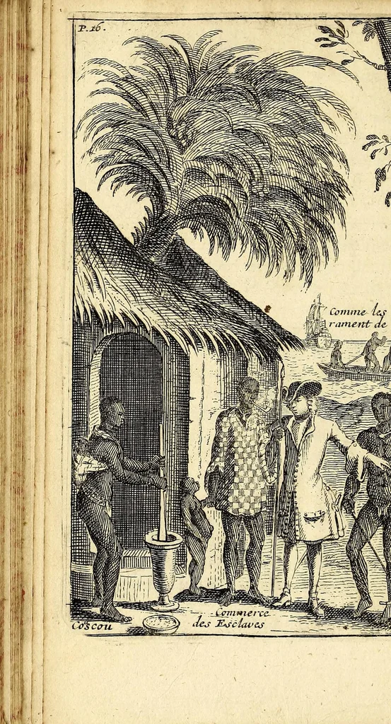 An illustration from Relation d'un voyage fait en 1695. 1696. & 1697. aux côtes d'Afrique, détroit de Magellan, Brezil, Cayenne & isles Antilles, par une escadre des vaisseaux du roy, commandée par Monsieur de Gennes., 1700, leaf 42