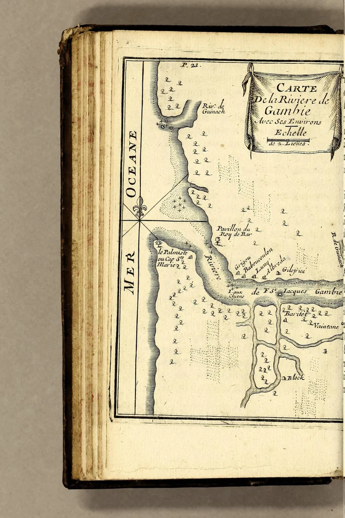 An illustration from Relation d'un voyage fait en 1695. 1696. & 1697. aux côtes d'Afrique, détroit de Magellan, Brezil, Cayenne & isles Antilles, par une escadre des vaisseaux du roy, commandée par Monsieur de Gennes., 1700, leaf 48