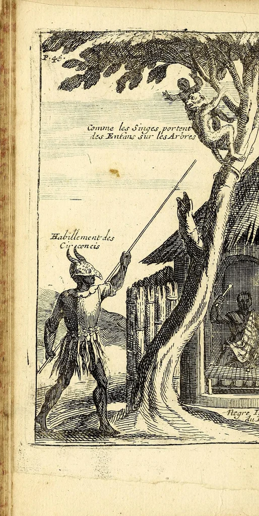 An illustration from Relation d'un voyage fait en 1695. 1696. & 1697. aux côtes d'Afrique, détroit de Magellan, Brezil, Cayenne & isles Antilles, par une escadre des vaisseaux du roy, commandée par Monsieur de Gennes., 1700, leaf 78
