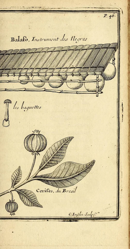 An illustration from Relation d'un voyage fait en 1695. 1696. & 1697. aux côtes d'Afrique, détroit de Magellan, Brezil, Cayenne & isles Antilles, par une escadre des vaisseaux du roy, commandée par Monsieur de Gennes., 1700, leaf 81