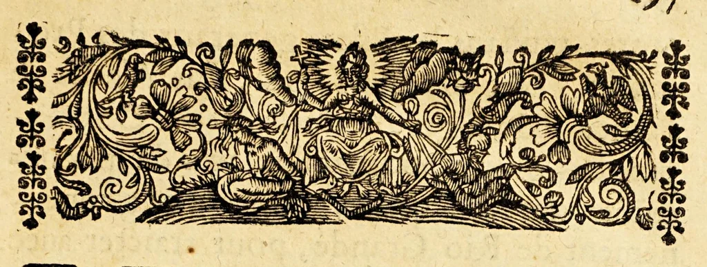 An illustration from Relation du voyage de Roulox Baro, interprete at ambassadeur ordinaire de la Compagnie des Indes d'Occident, de la part des Illustrissimes Seigneurs des Prouinces Vnies au pays des Tapuies dans la terre ferme du Brasil. : Commencé le troisiesme avril 1647. & finy le quatorziesme iuillet de la mesme année., 1651, leaf 9