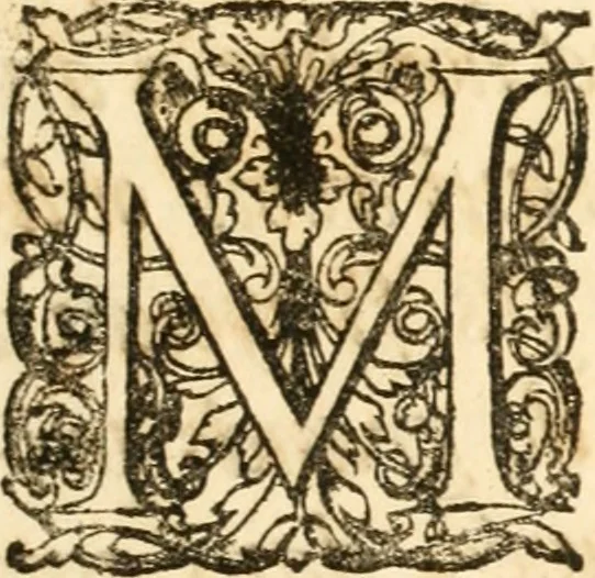 An illustration from Relation du voyage de Sa Majesté britannique en Hollande, et de la reception qui luy a été faite : enrichie de planches très-curieuses : avec un récit abregé de ce qui s'est passé de plus considerable depuis l'arrivée de Sa Majesté en Hollande le 31. de Janvier, jusqu'à son retour en Angleterre, au mois d'Avril 1691, & l'heureax succés de l'expedition d'Irlande, subjuguée par les arnes toûjours victorieuses de Sa Majesté, 1692, leaf 8