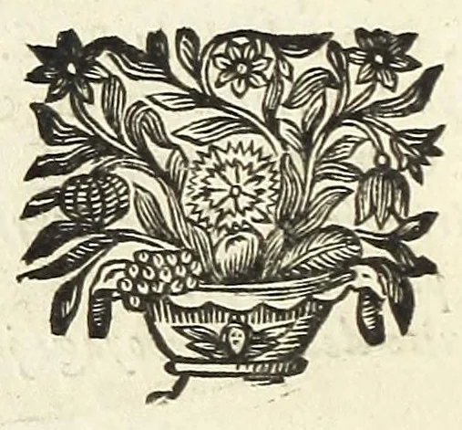 An illustration from Relation du voyage de monseigneur l'evesque de Beryte, vicaire apostolique du royaume de la Cochinchine, par la Turquie, la Perse, les Indes, &c. jusqu'au royaume de Siam, & autres lieux, 1683, leaf 10