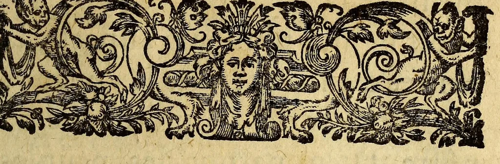 An illustration from Relation du voyage des Francois fait au Cap de Nord en Amerique, par les soings de la compagnie establie à Paris, & sous la conduite de Monsieur de Royuille leur général; : auec vne ample description du pays, des mœurs & façon de viure des sauuages, & l'obseruation des hauteurs. ..., 1654, leaf 11