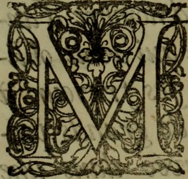 An illustration from Relation du voyage de Sa Majesté britannique en Hollande, et de la reception qui luy a été faite .., 1692, leaf 10