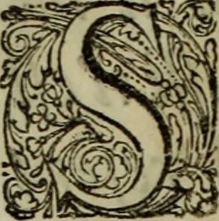 An illustration from Relation du voyage de Sa Majesté britannique en Hollande, et de la reception qui luy a été faite .., 1692, leaf 13