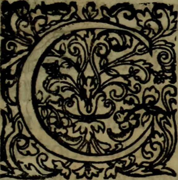 An illustration from Relation du voyage de Sa Majesté britannique en Hollande, et de la reception qui luy a été faite .., 1692, leaf 20