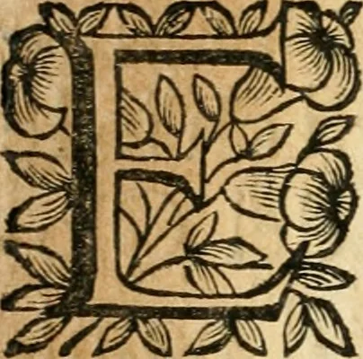 An illustration from Relatione copiosissima della nobilissima caualcata fatta con l'occasione del possesso preso alli 4. di nouembre 1691 dall' illustrissimo & eccellentissimo signore, senatore di Roma, il signore Ottauio Riari, marchese di Monte Peloso e senatore di Bologna, 1691, leaf 7