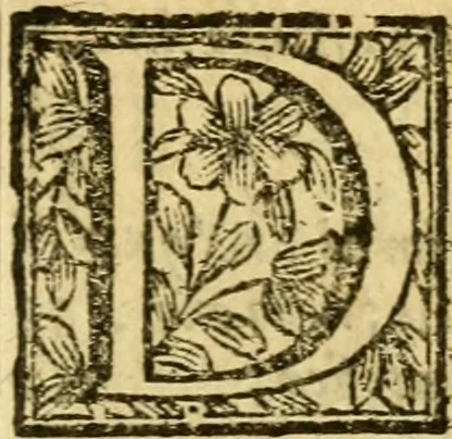 An illustration from Relatione della Corte di Roma, e de' riti da osservarsi in essa : e de' suoi ma gistrati, & officii, con la loro distinta giurisdittione, 1689, leaf 378