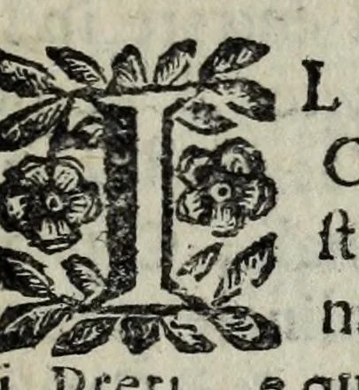 An illustration from Relatione della corte di Roma : e de' riti da osseruarsi in essa, e de' suoi magistrati & officij, con la loro distinta giurisdittione, 1660, leaf 9