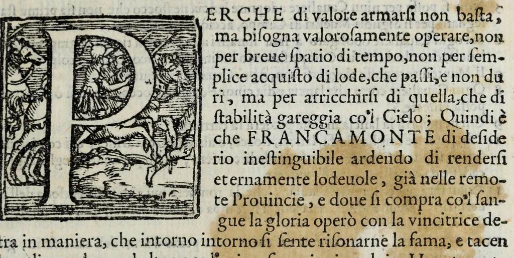 An illustration from Relatione della giostra a campo aperto fatta in Siena : da' signori huomini d'arme sanesi alla Real Presenza de' serenissimi prencipi di Toscana, 1602, leaf 17