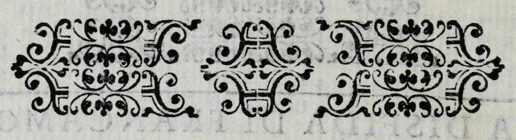 An illustration from Relatione della giostra a campo aperto fatta in Siena : da' signori huomini d'arme sanesi alla Real Presenza de' serenissimi prencipi di Toscana, 1602, leaf 28