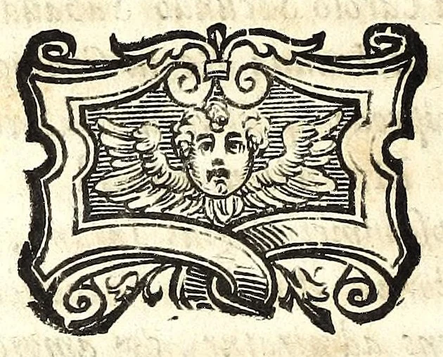 An illustration from Relatione della solenne entrata fatta nella città di Sauigliano dalle regali altezze Carlo Emanuel II et Maria Giouanna Battista di Nemours, il primo di luglio 1668, 1669, leaf 120