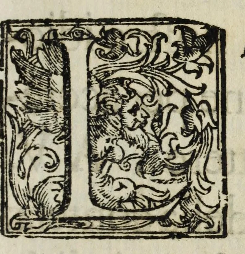 An illustration from Relatione delle cerimonie & apparato della Basilica di S. Pietro nella canonizatione del glorioso Santo Francesco di Sales, vescovo di Geneva, fatta dalla Santità di N.S. Alessandro VII., il di XIX. aprile MDCLXV, 1665, leaf 5