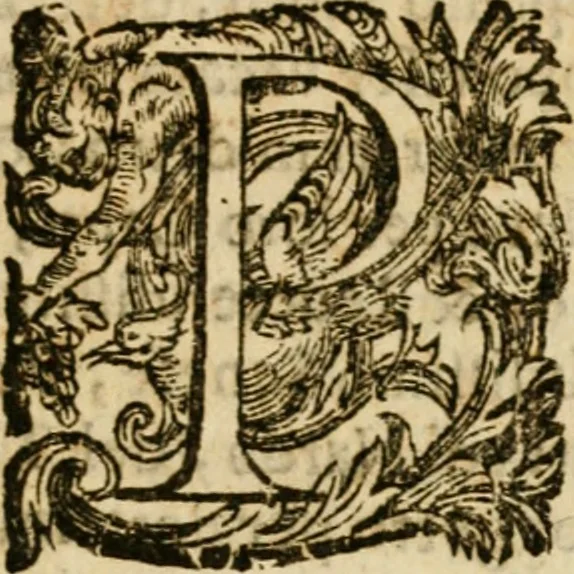 An illustration from Relatione delle cerimonie fatte per la creatione del sommo pontefice Alessandro settimo, seguita il dì 7. del mese di aprile dell'anno 1655, e delle allegrezze fatte in Roma per tale occasione, 1655, leaf 10