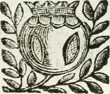 An illustration from Relatione delle festiue dimostrationi fatte in Bologna nella creatione e coronatione della Santità di N. S. P. Clemente IX, 1667, leaf 18