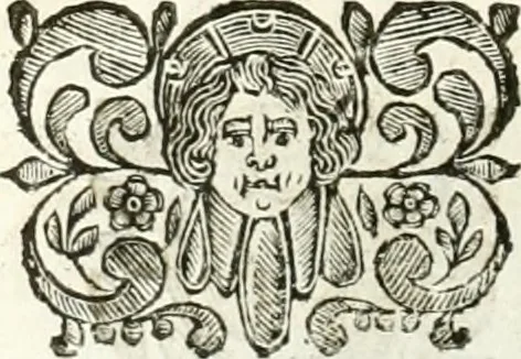 An illustration from Relatione delle festiue dimostrationi fatte in Bologna nella creatione e coronatione della Santità di N. S. P. Clemente IX, 1667, leaf 19
